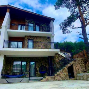 Cottage V1 Bakuriani
